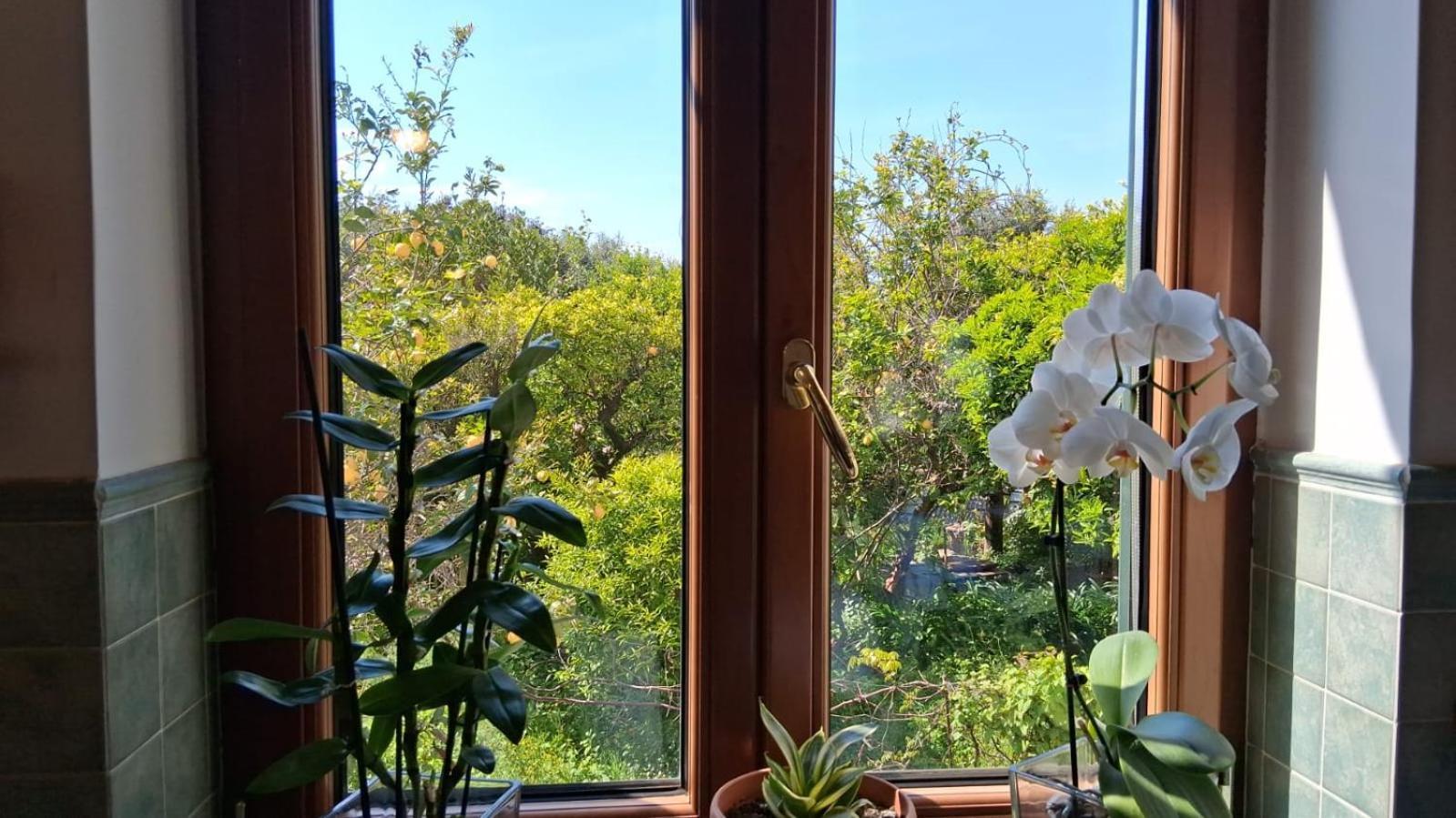 Il Giardino Dei Gigli Apartment Meta Luaran gambar