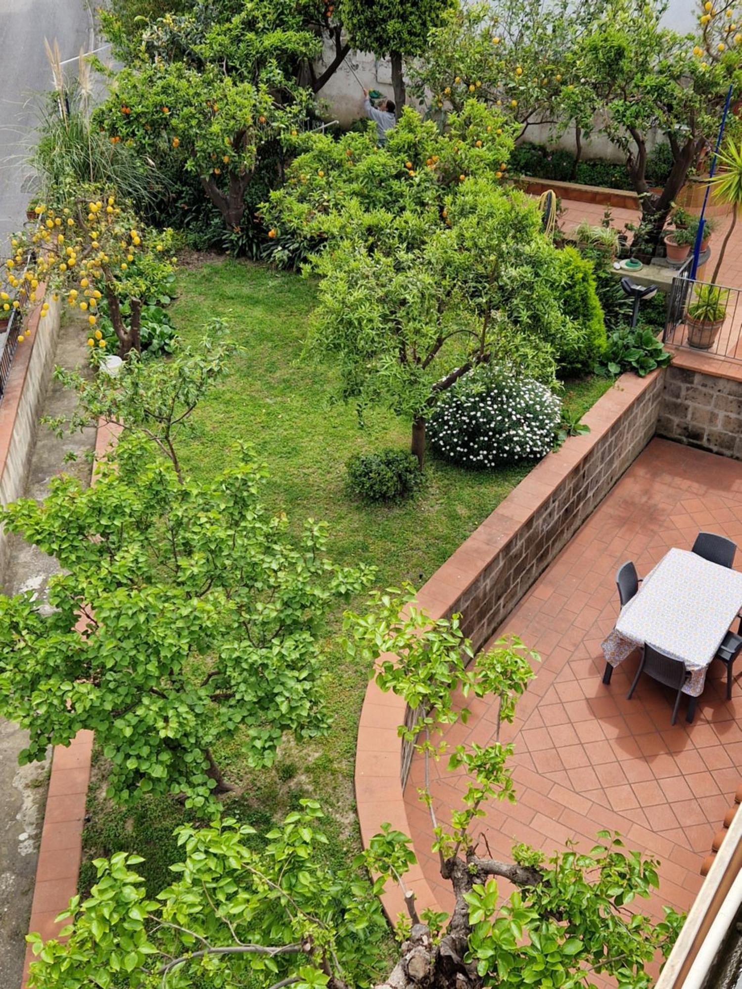 Il Giardino Dei Gigli Apartment Meta Luaran gambar